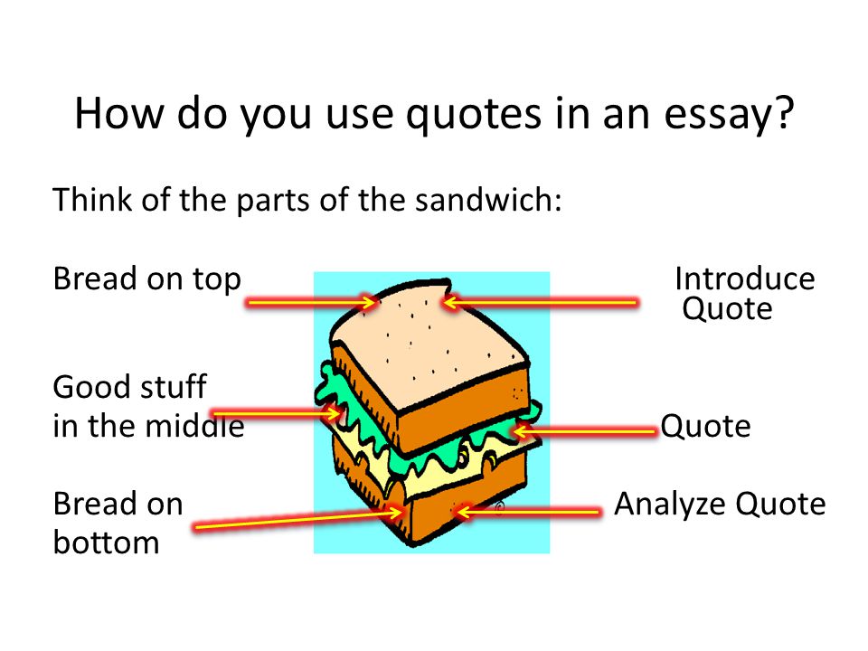 Introduce quote essay